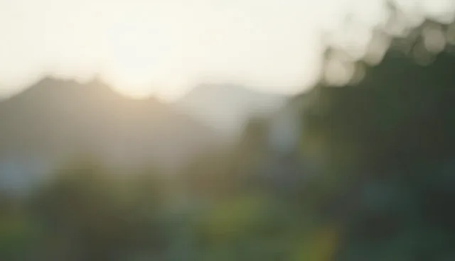 短视频拍摄在媒介投放中的适用条件及优化方向